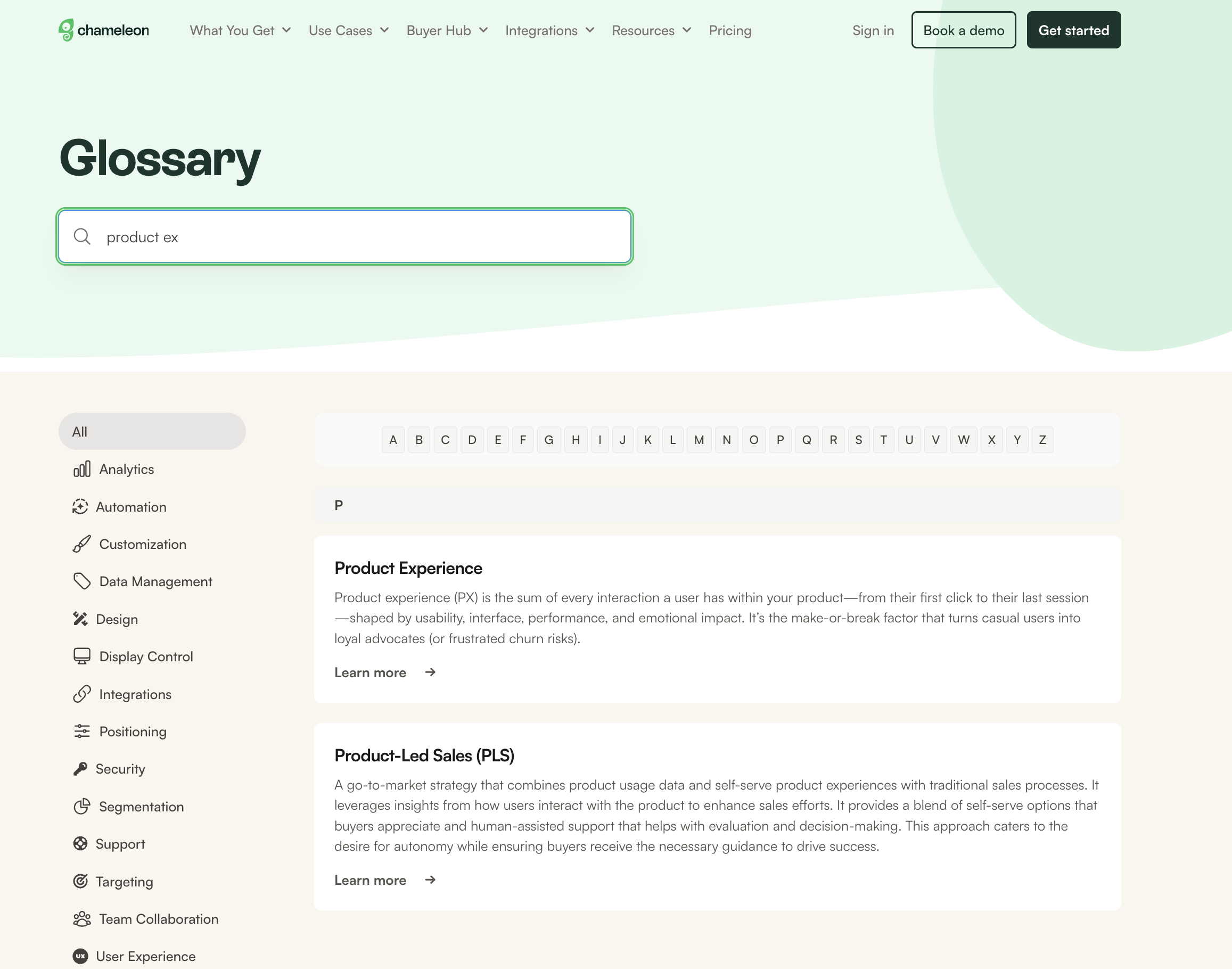 Chameleon's optimized glossary page with strategic navigation